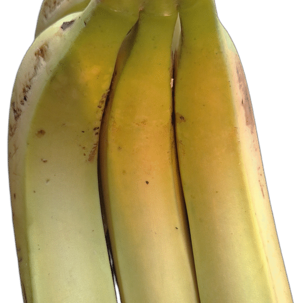Platanos