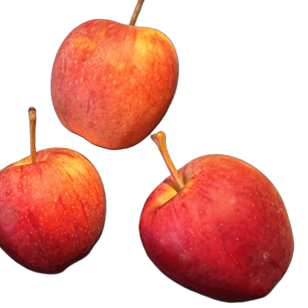 Manzanas