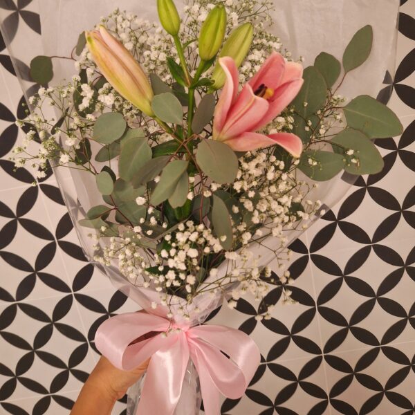 Pedidos personalizados